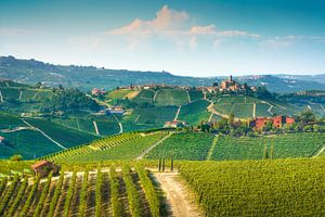 Landschaft der Langhe-Weinberge und Castiglione Falletto.