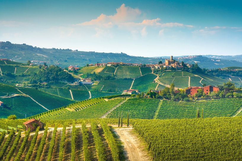 Langhe vineyards landscape and Castiglione Falletto. by Stefano Orazzini