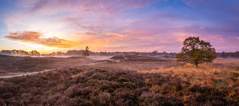 Tomorrow on the moor by Frans Plat