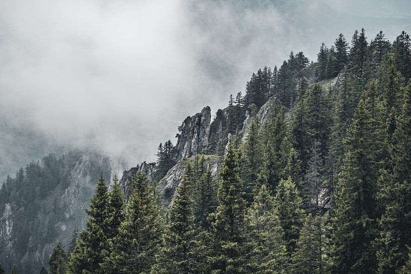 Rugged rocks by Sebastian Witt