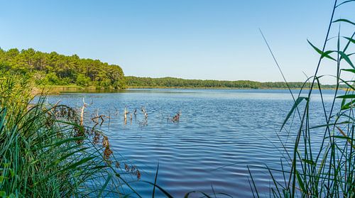 Nationaal natuurreservaat Cousseau Pond