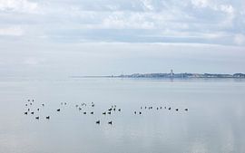 Gelassenes Terschelling von Wad of Wonders