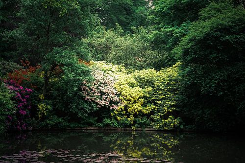 Bloemenpracht aan het water