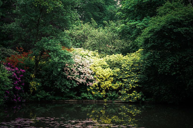Bloemenpracht aan het water par sandra ten wolde