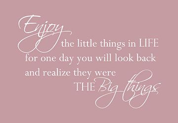 Tekst Enjoy the little things - Roze van Sandra Hazes