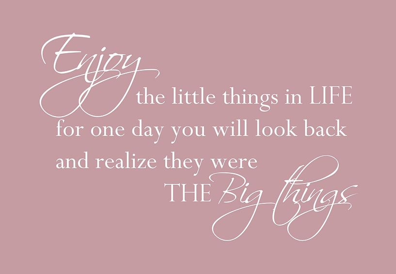 Tekst Enjoy the little things - Roze van Sandra Hazes