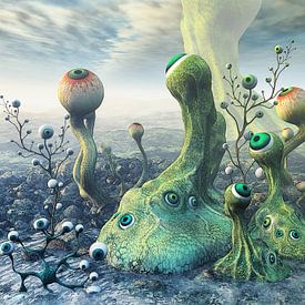 Observation by Jutta Maria Pusl