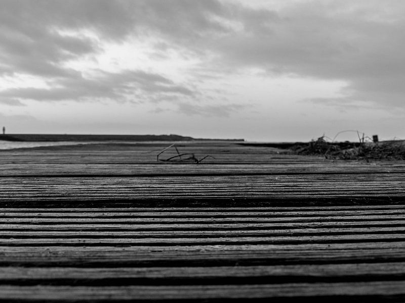 Verdronken Zwarte Polder van Noortje van Zuidam