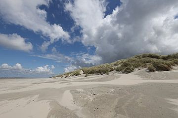 Strand Ameland von Johanna Oud