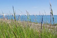 Seawall bridge