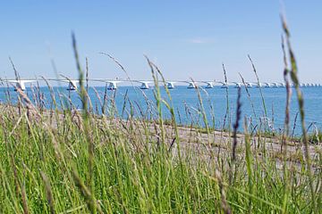 Pont de la digue sur Judith Cool