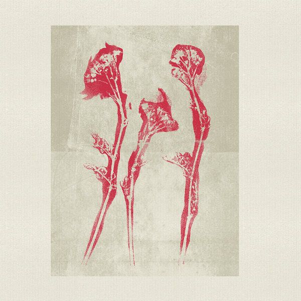 Modern neutral botanical in red and grey by Dina Dankers