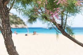 Day at the beach  van Davy Reitsma