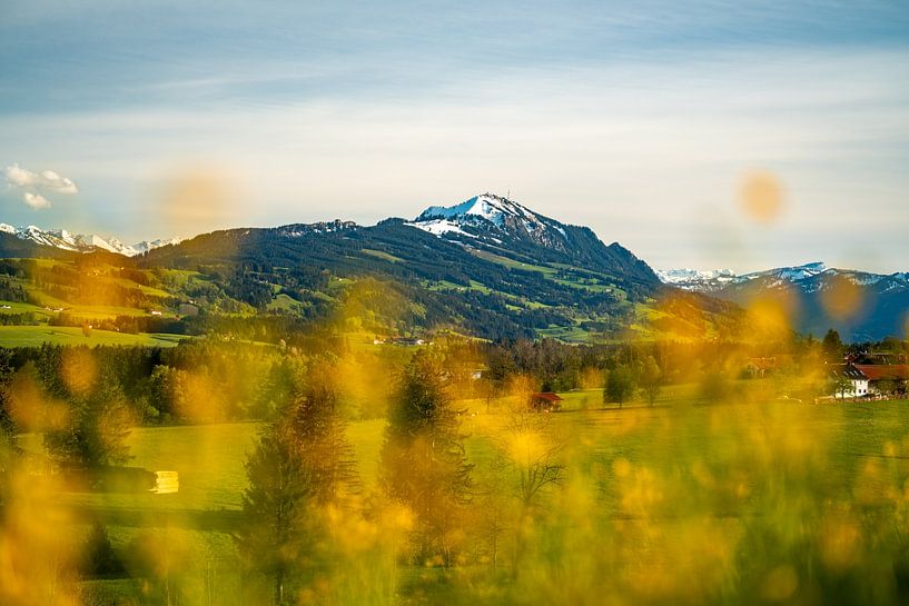 Flowery view of the Grünten by Leo Schindzielorz