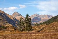 Glen Shiel, Kintail, Schotland, Verenigd Koninkrijk