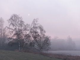 Autumn in the Weiherwiesen  (2)