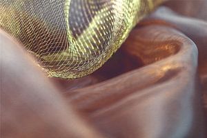 Geflecht aus Licht – Goldstruktur auf Transparenz