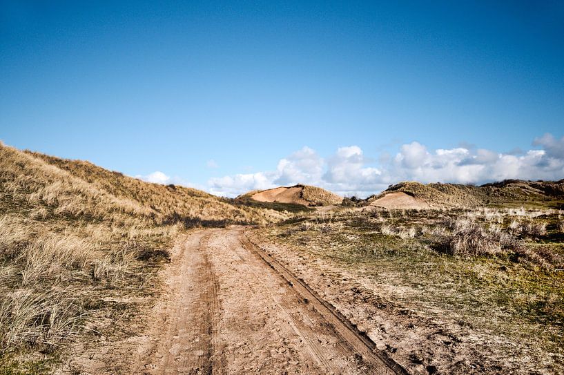 Duinen van Erik Reijnders