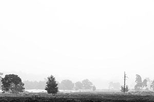 Natur in Schwarz und Weiß