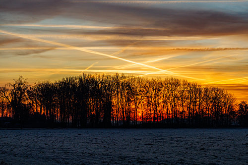 Ochtendrood