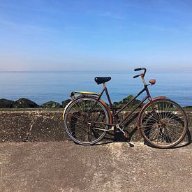 Vélo au bord de la mer sur Frank Herrmann