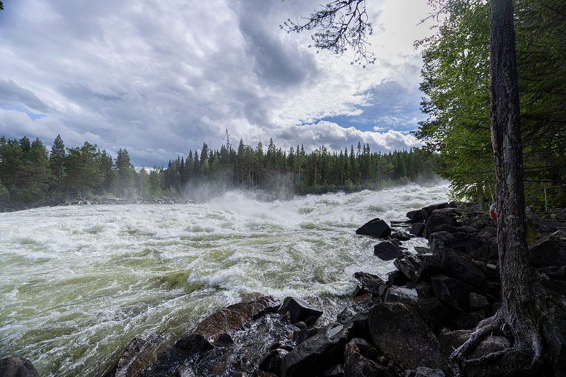 Schweden, Sforforsen Eine starke Stromschnelle von Edwin Kooren
