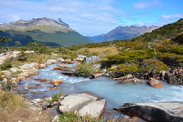 melkwitte rivier in veenlandschap Patagonië van My Footprints