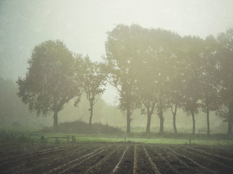 Fade away by Aart Lameris