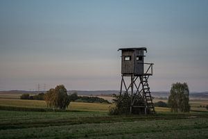 Hochsitz im Abendlicht