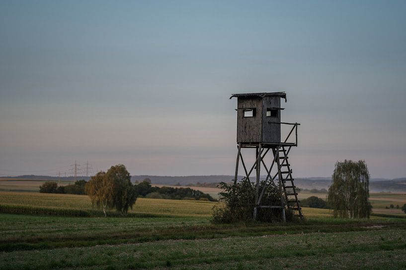 perch in the evening light by Jürgen Schmittdiel Photography