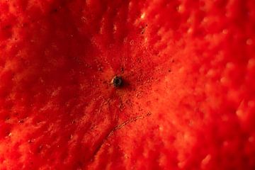 Who knows may say by Abstract on the move