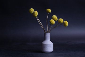 Bloemen (drumstick flower) in vaas van Wouter Kouwenberg