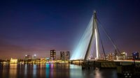 Rotterdam1