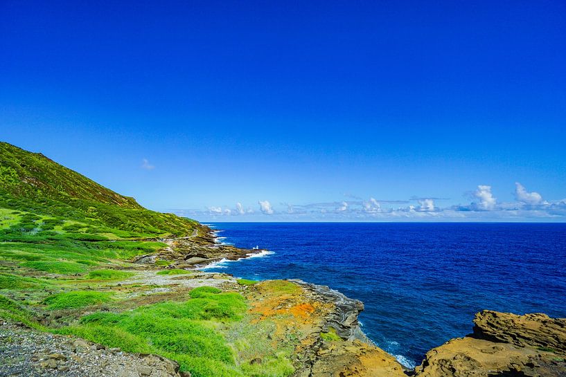 Paysage hawaïen avec vue sur l'océan par Barbara Riedel