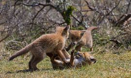 Hulp is onderweg van Wesley Klijnstra
