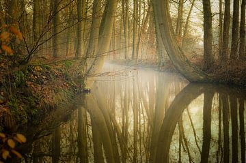 Brook by Arjan Keers