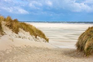 Strand auf Texel von Daniela Beyer