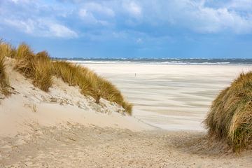 Strand op Texel van Daniela Beyer