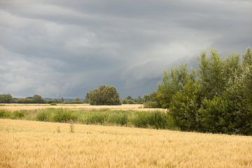 Ein Schauer ist im Anmarsch von Nella van Zalk