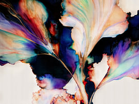 Blüte