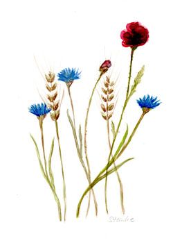 Blumen im Feld von Sandra Steinke