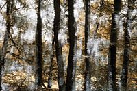 TreeArt