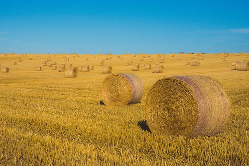 Hay bales, hay and blue skies. Typical France