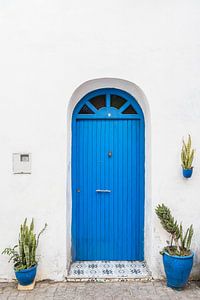 Scène de rue bleue botanique au Maroc