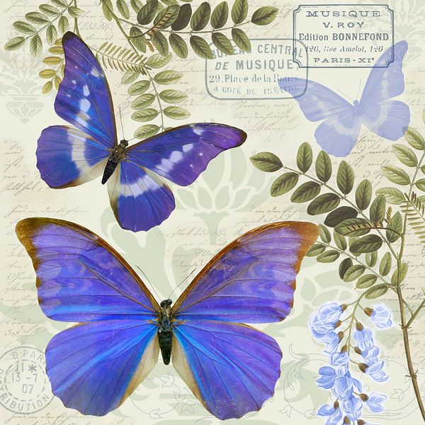 Blaue Morphos by christine b-b müller