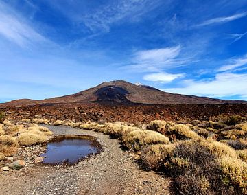 Volcano crater by zam art