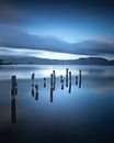 Wooden pier remains. Lake Massaciuccoli. by Stefano Orazzini thumbnail