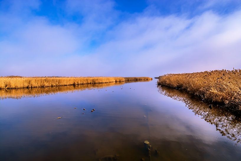 BADEN-WÜRTTEMBERG : BAD BUCHAU - FEDERSEE van Photoart-Naegele