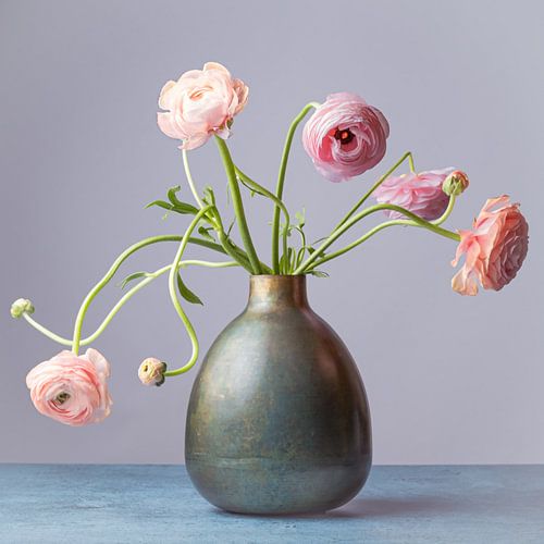 Pink flowers in vase - still life