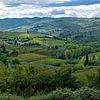 Glooiende groene landschap van Toscane, Italië van Discover Dutch Nature